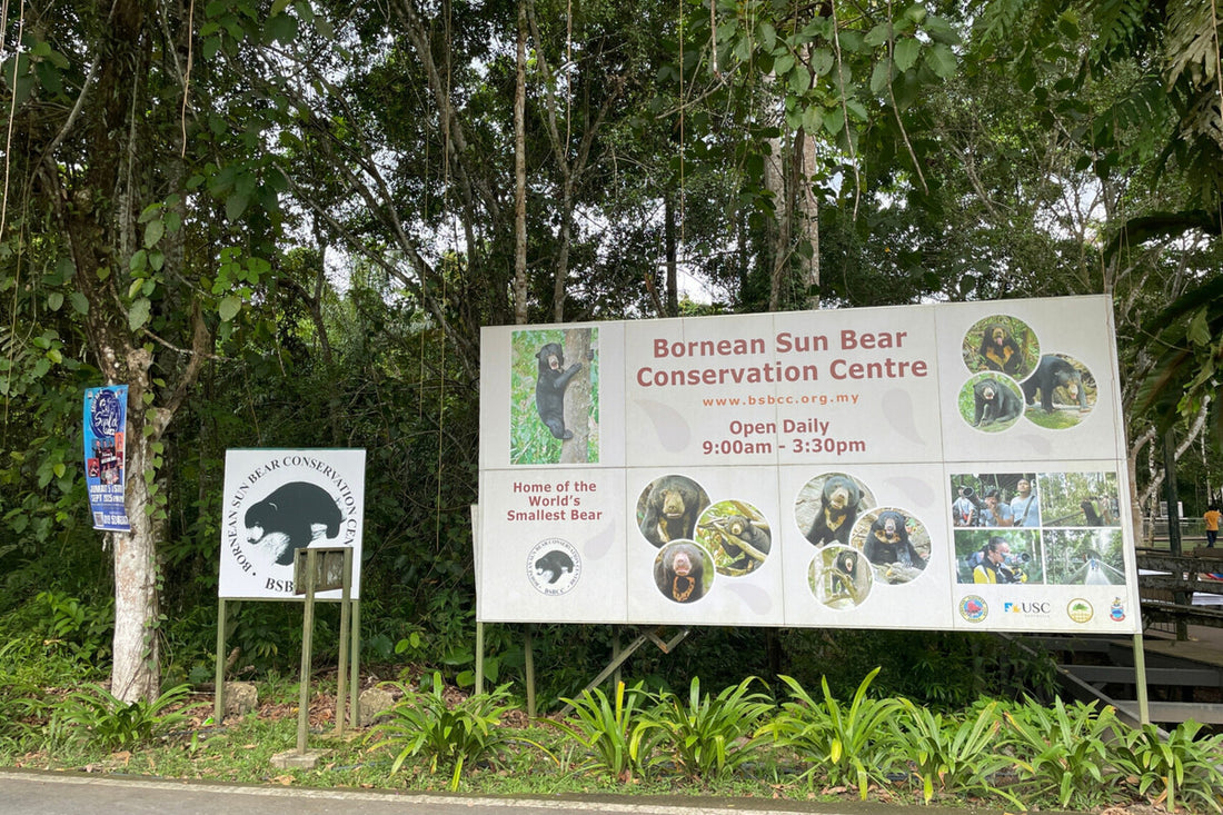 3D2N Selingan Turtle Island & Kinabatangan River Cruise Safari with Sepilok Orangutan & Bornean Sun Bear