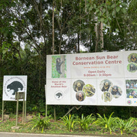 3D2N Selingan Turtle Island & Kinabatangan River Cruise Safari with Sepilok Orangutan & Bornean Sun Bear