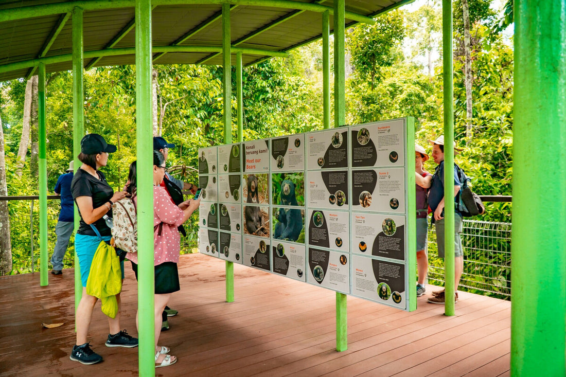 4D3N Selingan Turtle Island & Kinabatangan River Cruise Safari with Sepilok Orangutan & Bornean Sun Bear