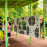 4D3N Selingan Turtle Island & Kinabatangan River Cruise Safari with Sepilok Orangutan & Bornean Sun Bear