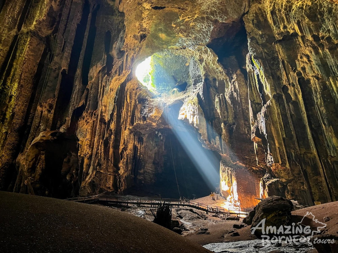 3D2N Bilit Rainforest Lodge - Sepilok Orangutan / Kinabatangan River / Gomantong Cave