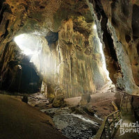 Sandakan - Gomantong Cave & Kinabatangan River Cruise