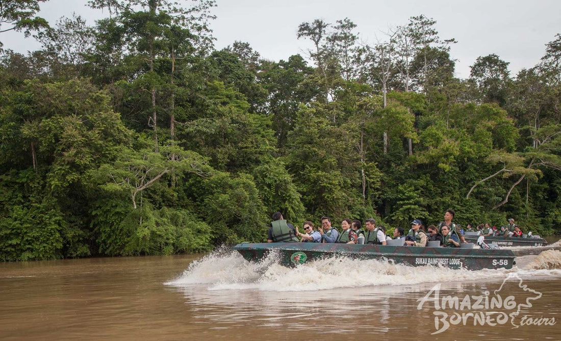 3D2N Sukau Rainforest Lodge