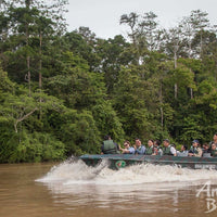 3D2N Sukau Rainforest Lodge