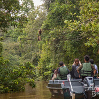 4D3N Sukau Rainforest Lodge