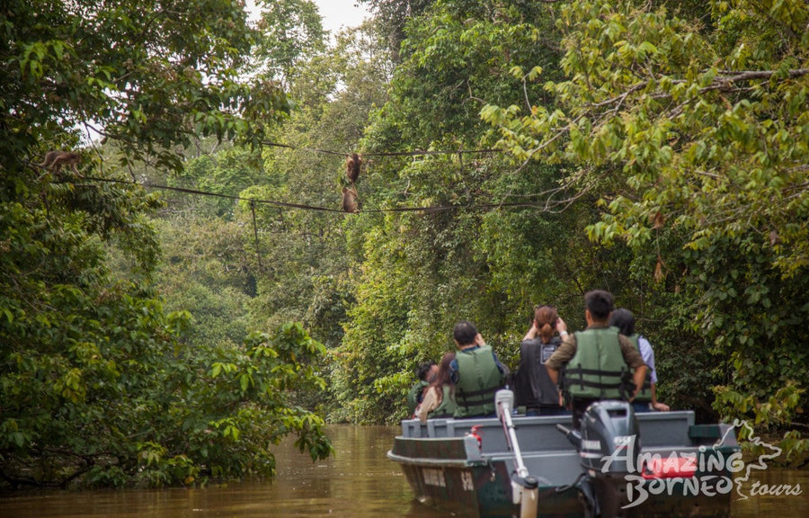 4D3N Sukau Rainforest Lodge