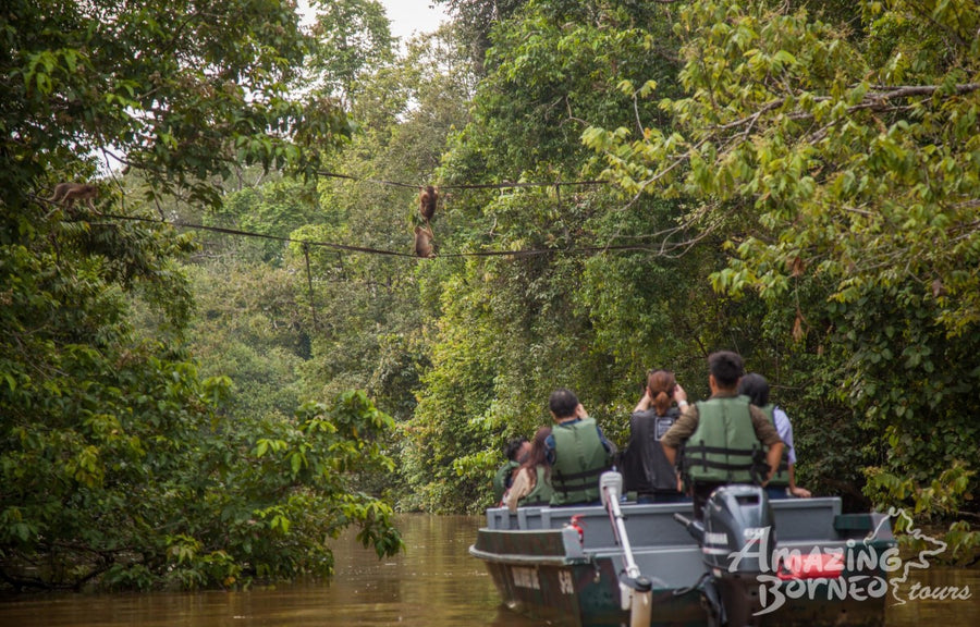 3D2N Sukau Rainforest Lodge