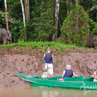 Sandakan - Gomantong Cave & Kinabatangan River Cruise