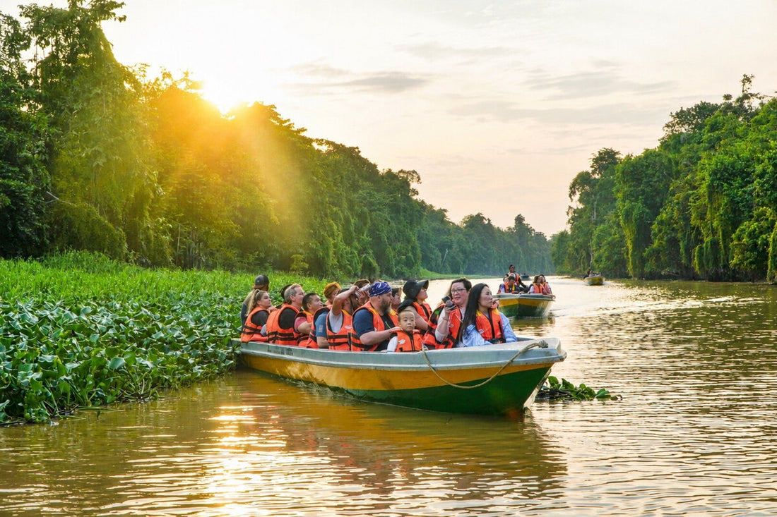 3D2N Selingan Turtle Island & Kinabatangan River Cruise Safari with Sepilok Orangutan & Bornean Sun Bear