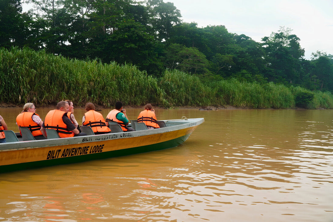 4D3N Selingan Turtle Island & Kinabatangan River Cruise Safari with Sepilok Orangutan & Bornean Sun Bear