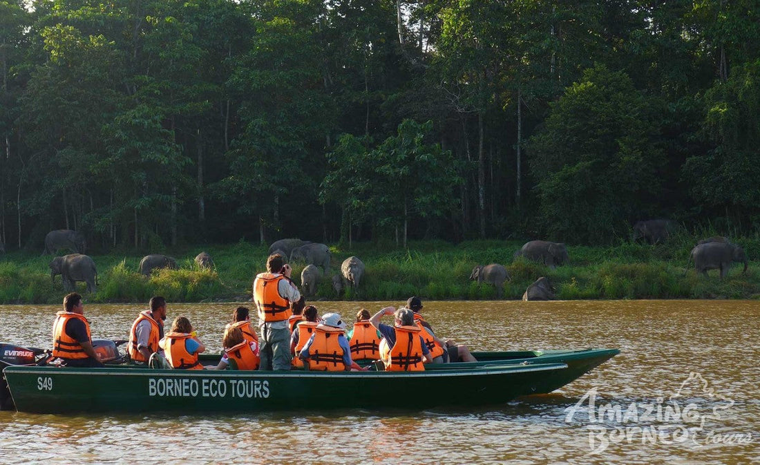 4D3N Sukau Rainforest Lodge