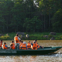 4D3N Sukau Rainforest Lodge