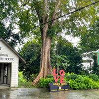 5D4N Selingan Turtle Island & Kinabatangan River Cruise Safari with Sepilok Orangutan & Bornean Sun Bear