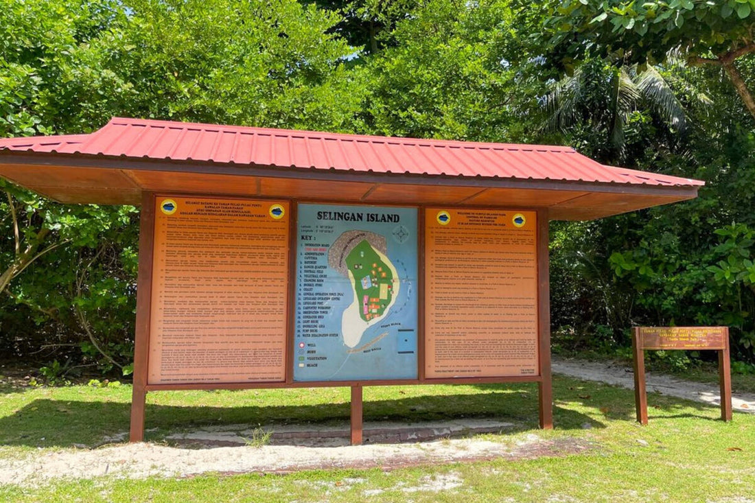 3D2N Selingan Turtle Island & Kinabatangan River Cruise Safari with Sepilok Orangutan & Bornean Sun Bear