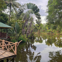 5D4N Selingan Turtle Island & Kinabatangan River Cruise Safari with Sepilok Orangutan & Bornean Sun Bear