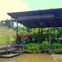 3D2N Abai Kinabatangan Wetlands Resort