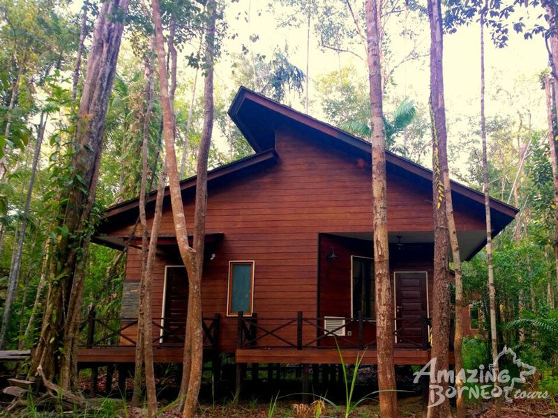 2D1N Abai Kinabatangan Wetlands Resort