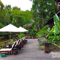 2D1N Sepilok Nature Lodge Stay & Tour