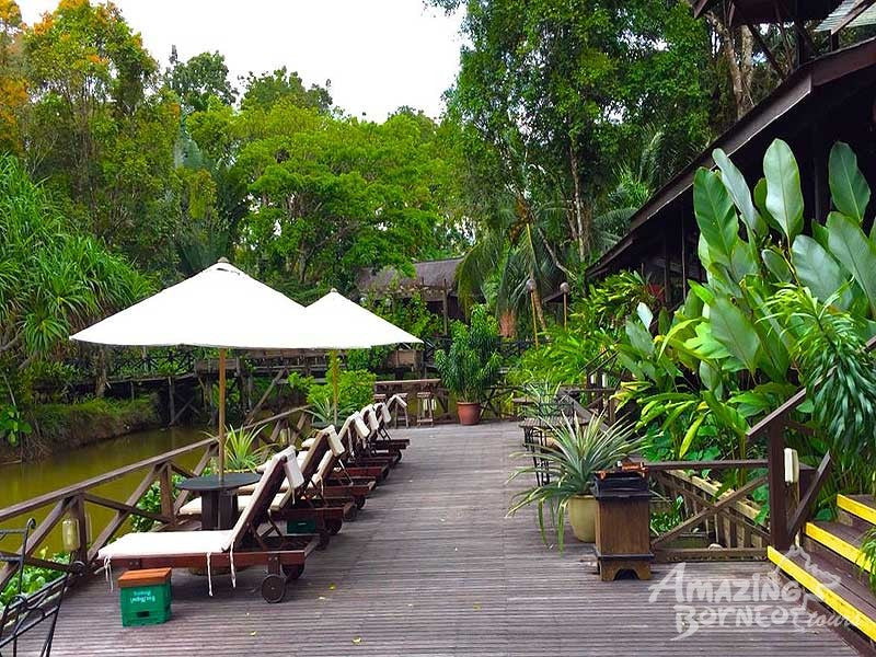 2D1N Sepilok Nature Lodge Stay & Tour