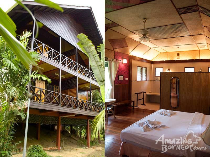 3D2N Sepilok Nature Lodge Stay & Tour